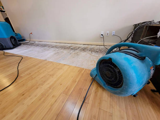 Professional Flood Damage Cleanup technician working in Alva, OK